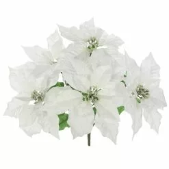 Best deal ???? Cream Poinsettia Bush by Ashland® ???? 7 Best deal ???? Cream Poinsettia Bush by Ashland® ???? -Ashland Sales 10700152 2