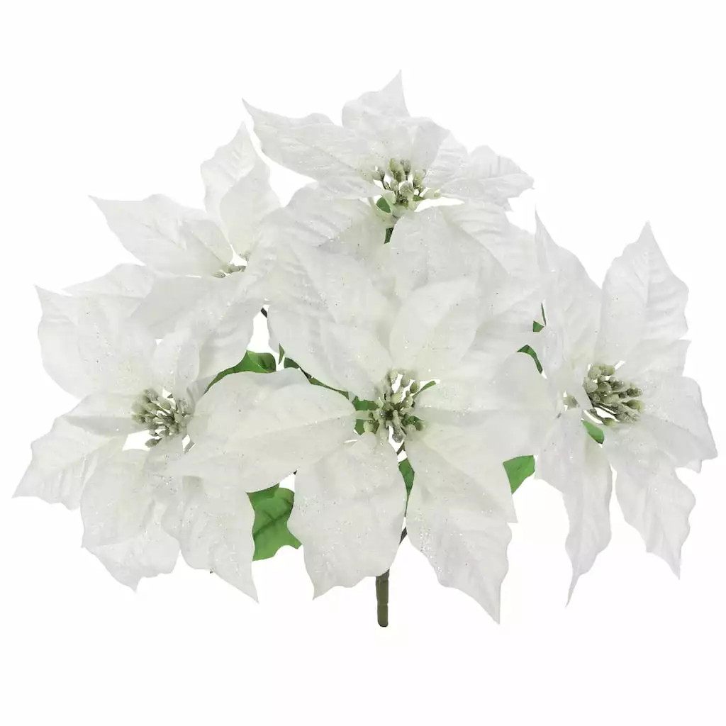 Best deal ???? Cream Poinsettia Bush by Ashland® ???? 5 Best deal ???? Cream Poinsettia Bush by Ashland® ???? - Image 3