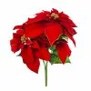 Best Pirce ???? Red Poinsettia Bush with Gold Edge by Ashland® ✨ 2 Best Pirce ???? Red Poinsettia Bush with Gold Edge by Ashland® ✨ -Ashland Sales 10700153 1