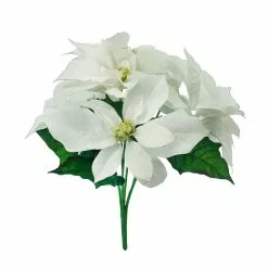 Budget ❤️ White Poinsettia Bush by Ashland® ????