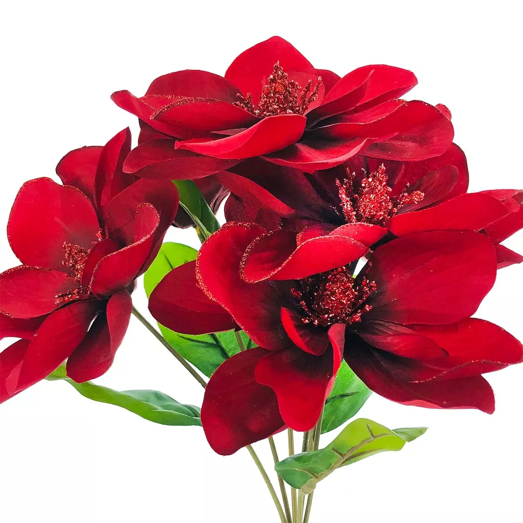 Best deal ⌛ Burgundy Magnolia Bush by Ashland® ???? 4 Best deal ⌛ Burgundy Magnolia Bush by Ashland® ???? - Image 2