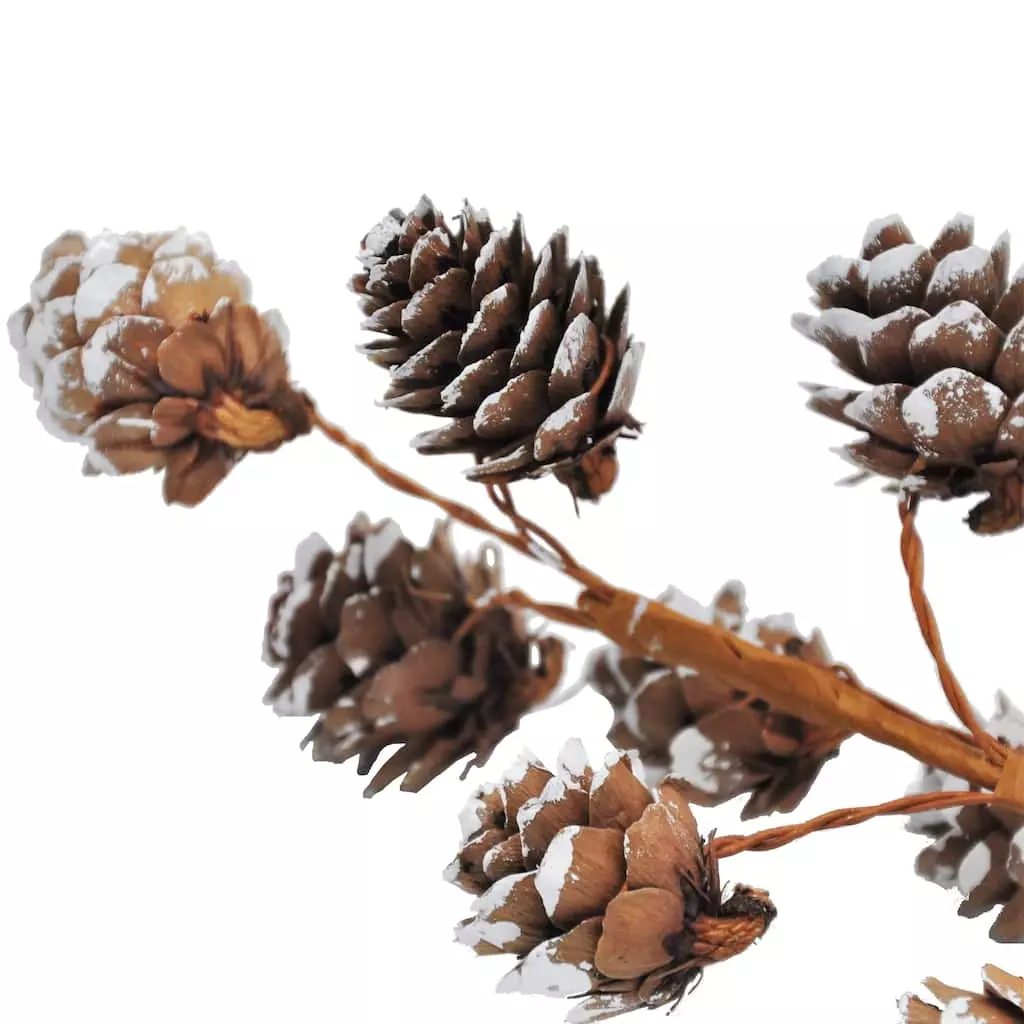 Brand new ???? Snowy Pinecone Pick by Ashland® ???? 6 Brand new ???? Snowy Pinecone Pick by Ashland® ???? - Image 4