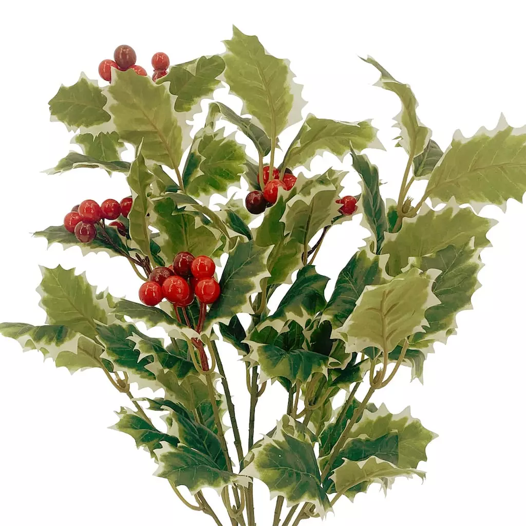 Top 10 ???? Holly Leaves & Berry Bush by Ashland® ✔️ 4 Top 10 ???? Holly Leaves & Berry Bush by Ashland® ✔️ - Image 2