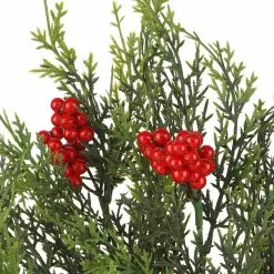 Coupon ???? Cedar & Berry Bush by Ashland® ???? -Ashland Sales 10700379 2