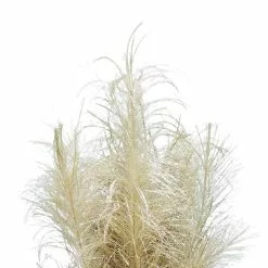 Best Sale ???? Assorted Glitter Pampas Bush by Ashland® ???? -Ashland Sales 10700399 5