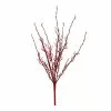 Buy ⌛ Red Twig Branch by Ashland® ???? -Ashland Sales 10700710 1