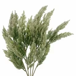 Cheap ???? Juniper Bush by Ashland® ???? -Ashland Sales 10700714 2