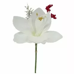 Best reviews of ???? White Amaryllis & Berry Bundle by Ashland® ????