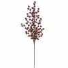 Cheapest ✨ Dark Red Berry Stem by Ashland® ???? -Ashland Sales 10701003 1