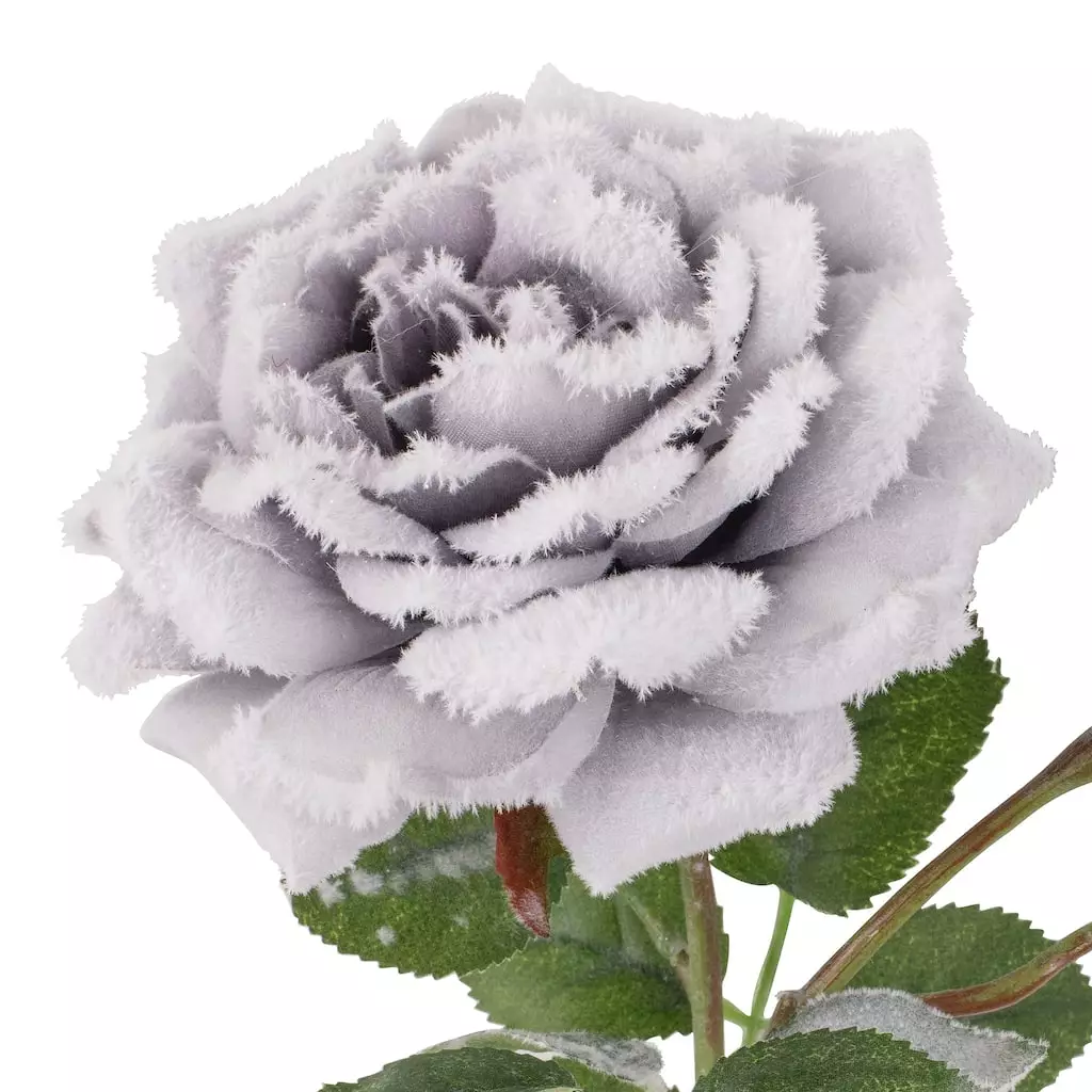 Promo ???? Gray Snowy Rose Stem by Ashland® ✨ 4 Promo ???? Gray Snowy Rose Stem by Ashland® ✨ - Image 2