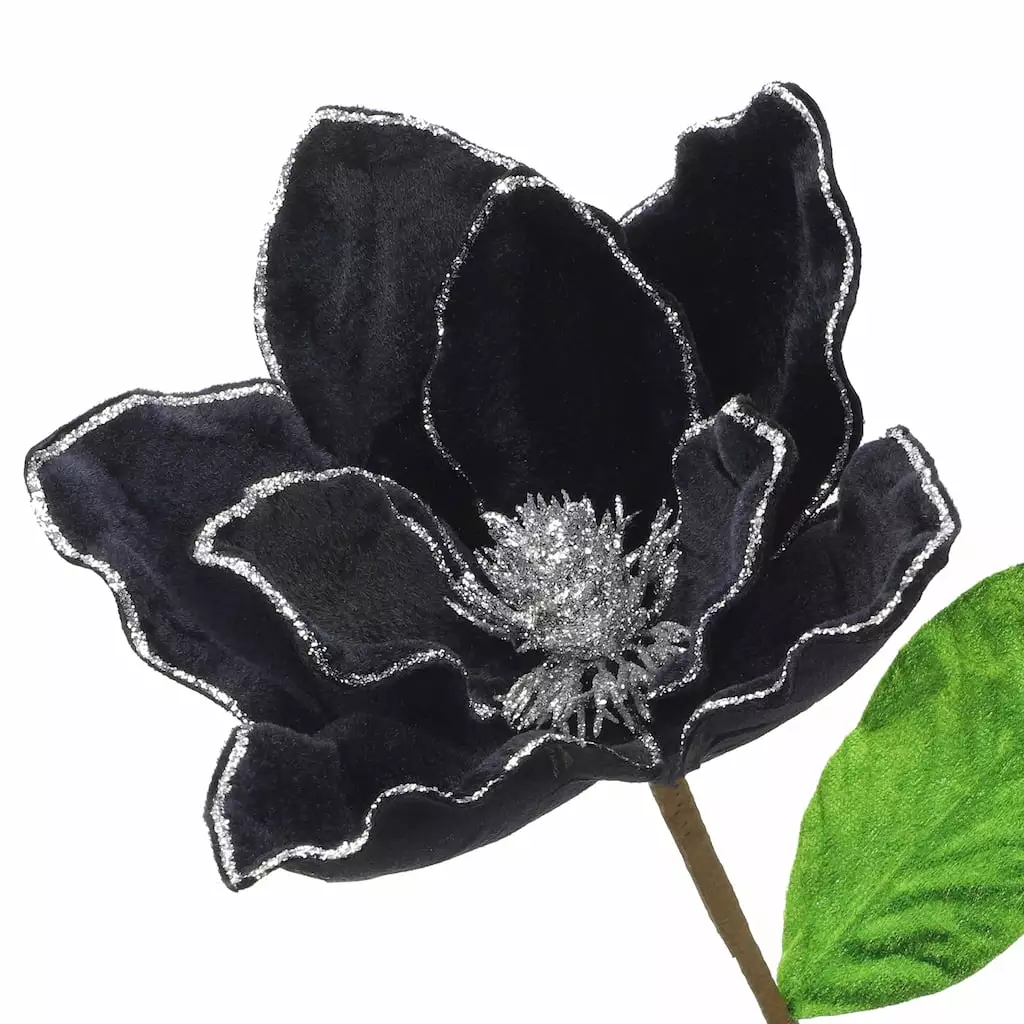 Best reviews of ???? Black Velvet Magnolia Stem by Ashland® ⌛ 5 Best reviews of ???? Black Velvet Magnolia Stem by Ashland® ⌛ - Image 3