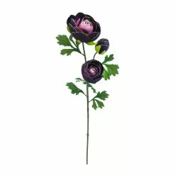 Flash Sale ⌛ Purple Ranunculus Stem by Ashland® ⭐