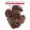 Discount ❤️ Cinnamon Scented Pinecones by Ashland® ???? -Ashland Sales 10701018 1