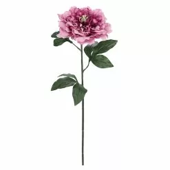 Best Pirce ???? Snow-Speckled Pink Peony Stem by Ashland® ????