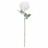 Cheap ✨ Snow Covered White Rose Stem by Ashland® ???? 1 Cheap ✨ Snow Covered White Rose Stem by Ashland® ???? -Ashland Sales 10701034 1