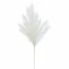 Best deal ✨ White Pampas Branch Stem by Ashland® ⭐