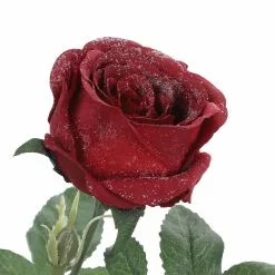 Cheap ⌛ Iced Red Rose Stem by Ashland® ???? -Ashland Sales 10701048 3
