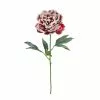 Cheap ⌛ Snowy Red Peony Stem by Ashland® ????