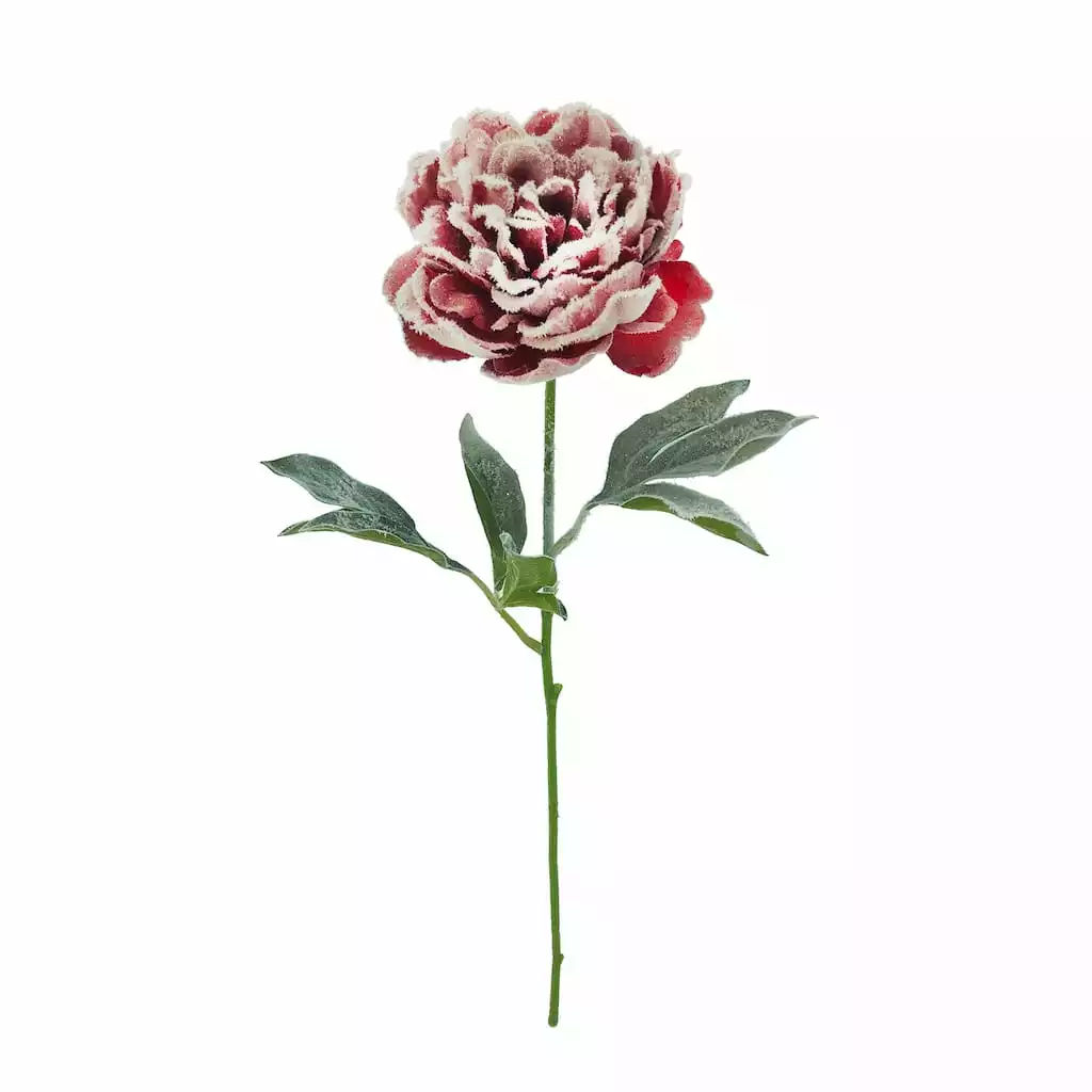 Cheap ⌛ Snowy Red Peony Stem by Ashland® ???? 3 Cheap ⌛ Snowy Red Peony Stem by Ashland® ????
