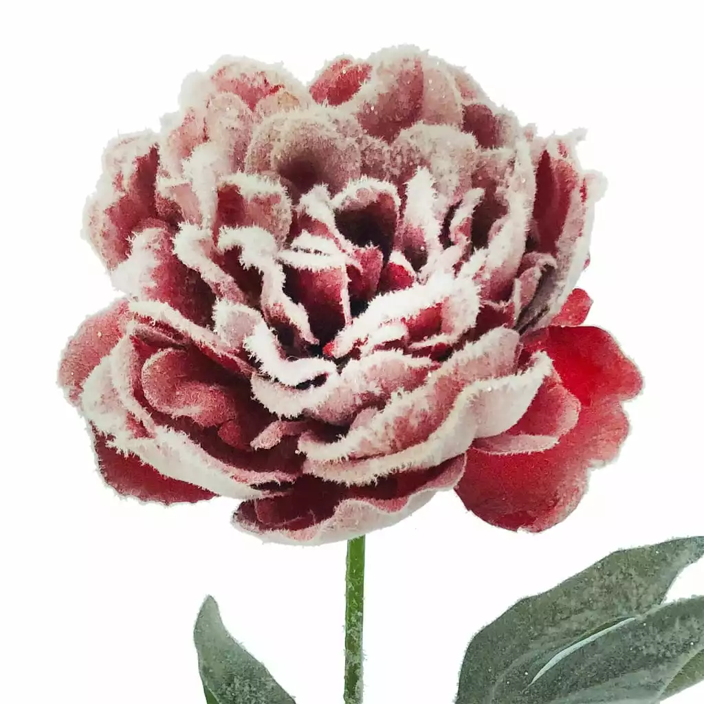 Cheap ⌛ Snowy Red Peony Stem by Ashland® ???? 4 Cheap ⌛ Snowy Red Peony Stem by Ashland® ???? - Image 2