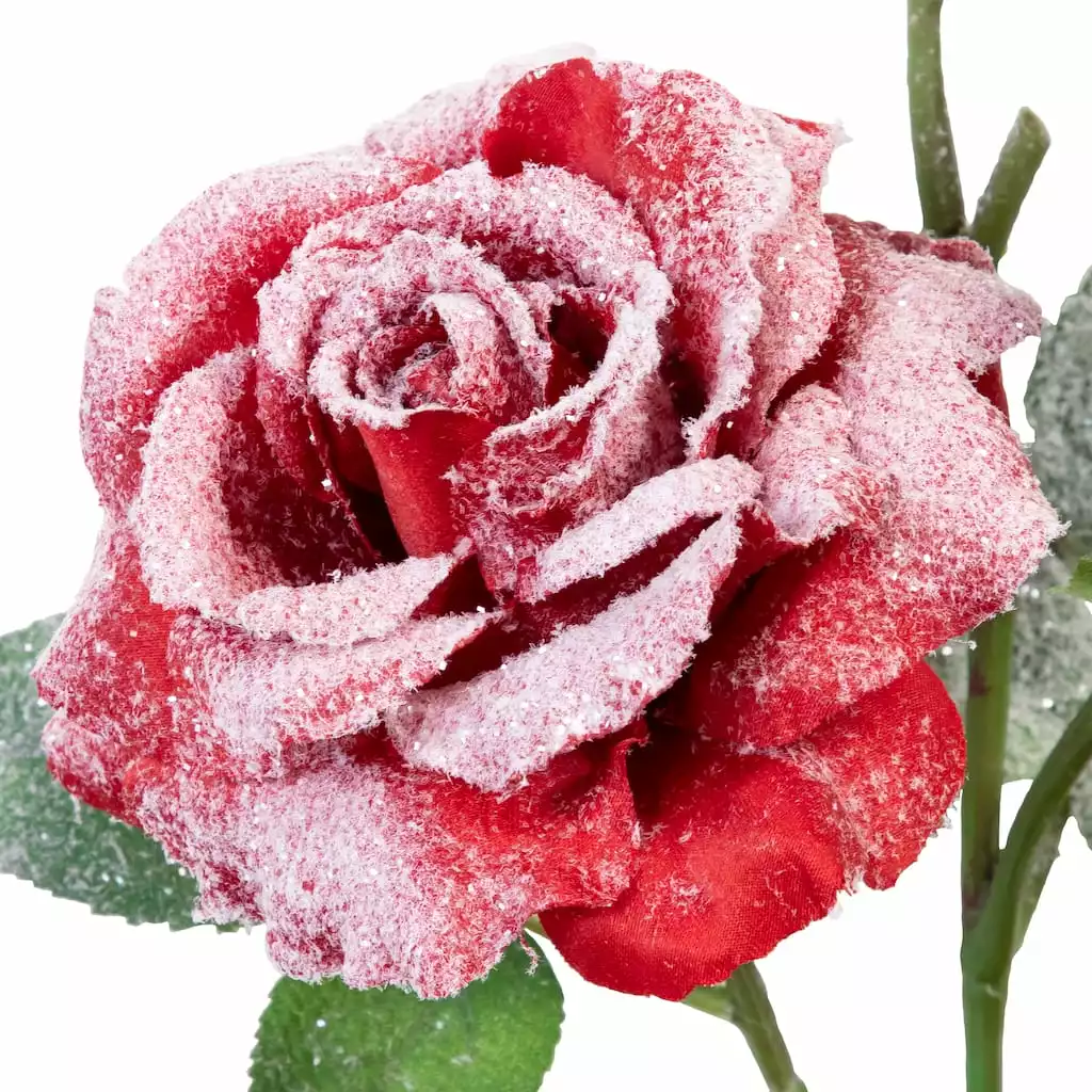Best reviews of ???? Red Snow Covered Garden Rose Stem by Ashland® ???? 4 Best reviews of ???? Red Snow Covered Garden Rose Stem by Ashland® ???? - Image 2
