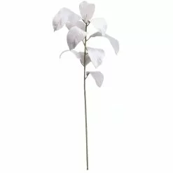 Cheap ???? White Velvet Magnolia Leaves Stem by Ashland® ❤️