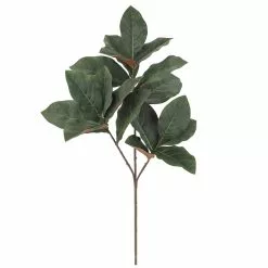 Best Pirce ???? Dark Green Magnolia Leaf Stem by Ashland® ????