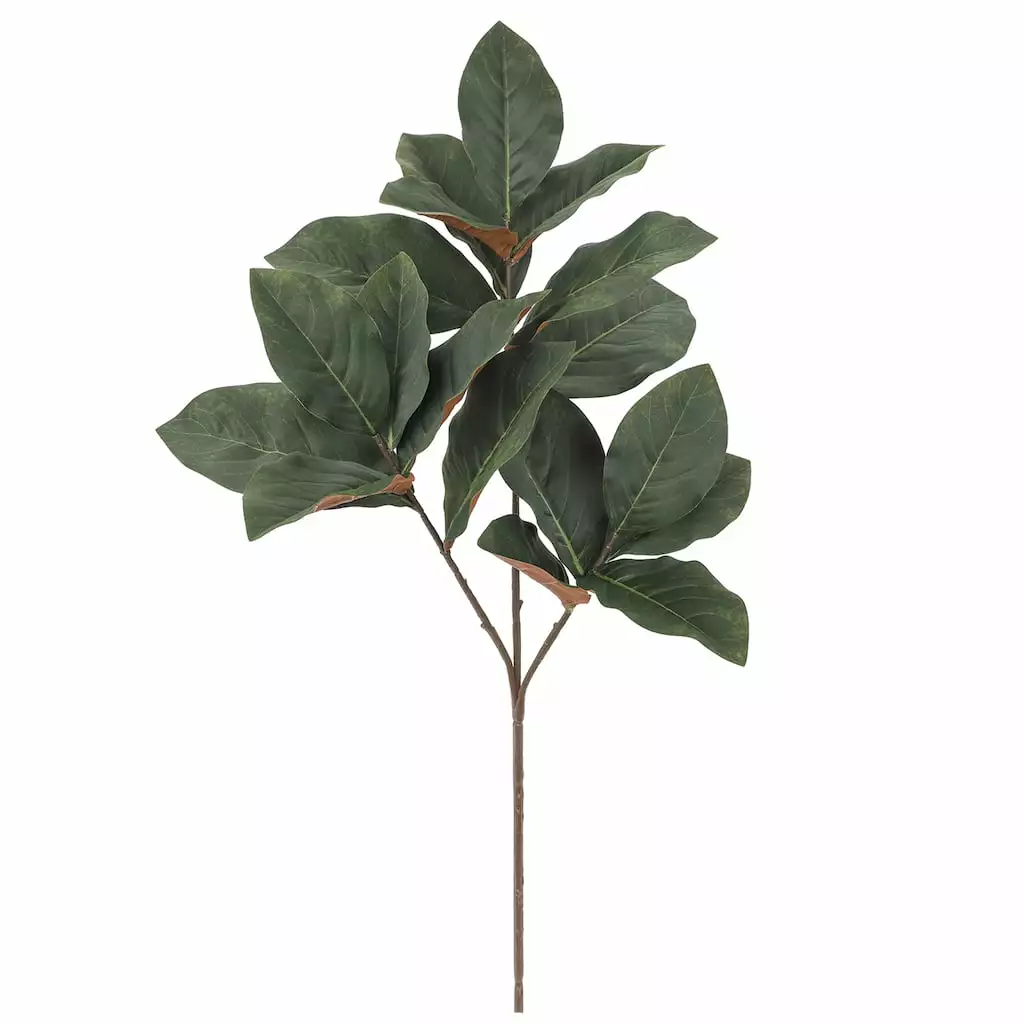 Best Pirce ???? Dark Green Magnolia Leaf Stem by Ashland® ???? 3 Best Pirce ???? Dark Green Magnolia Leaf Stem by Ashland® ????