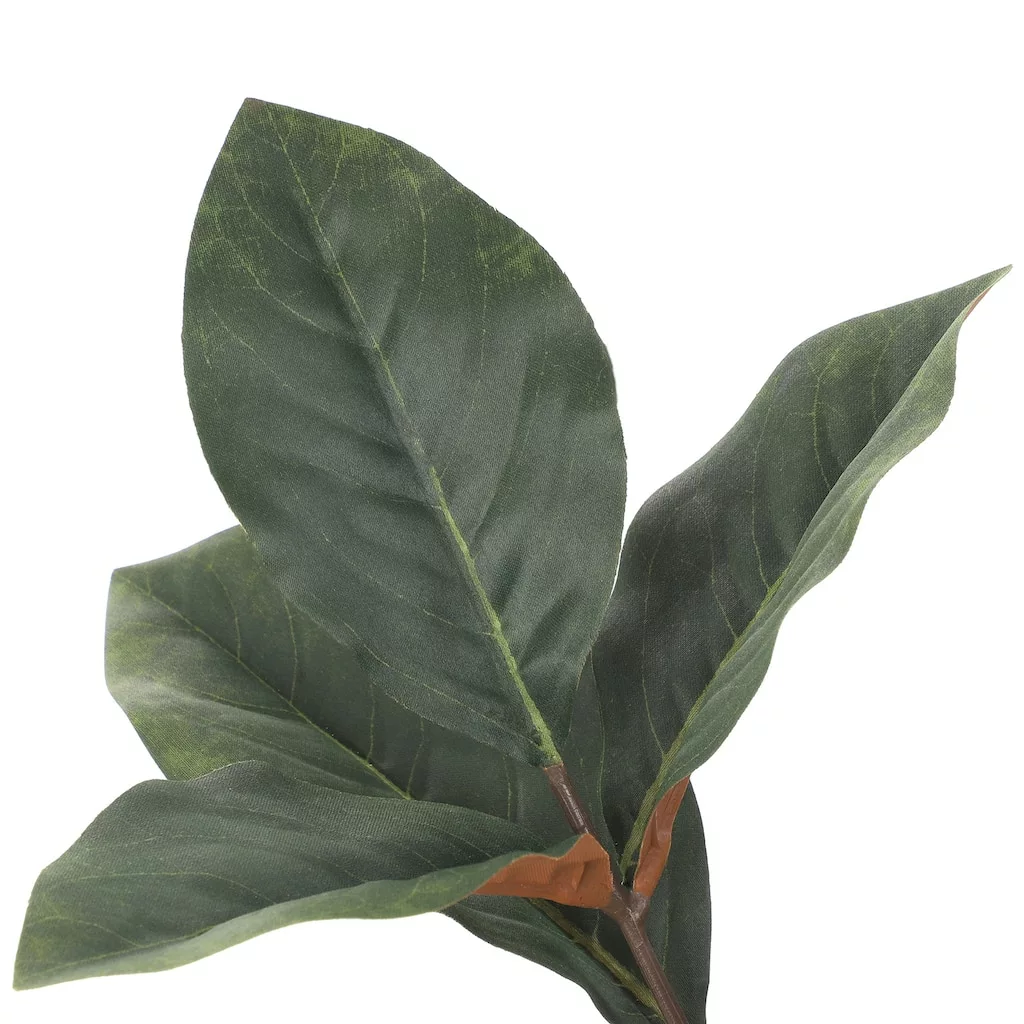 Best Pirce ???? Dark Green Magnolia Leaf Stem by Ashland® ???? 5 Best Pirce ???? Dark Green Magnolia Leaf Stem by Ashland® ???? - Image 3