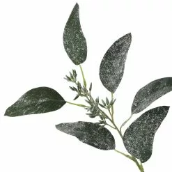 Best reviews of ???? Dark Green Iced Eucalyptus Leaf Stem by Ashland® ???? -Ashland Sales 10701061 3