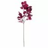 Best reviews of ???? Purple Eucalyptus Foliage Stem by Ashland® ???? -Ashland Sales 10701067 1