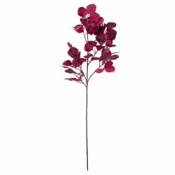 Best reviews of ???? Purple Eucalyptus Foliage Stem by Ashland® ????