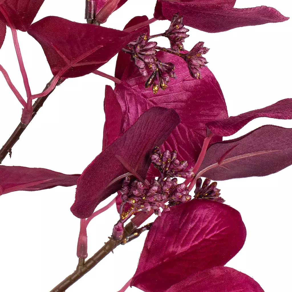 Best reviews of ???? Purple Eucalyptus Foliage Stem by Ashland® ???? 4 Best reviews of ???? Purple Eucalyptus Foliage Stem by Ashland® ???? - Image 2