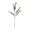Buy ⭐ Snowy Eucalyptus Stem by Ashland® ???? -Ashland Sales 10701309 1