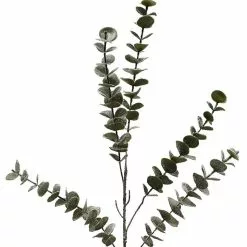 Buy ⭐ Snowy Eucalyptus Stem by Ashland® ???? -Ashland Sales 10701309 2