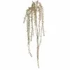 Outlet ✔️ Gold Glitter Amaranthus Stem by Ashland® ⭐ 1 Outlet ✔️ Gold Glitter Amaranthus Stem by Ashland® ⭐ -Ashland Sales 10701319 1
