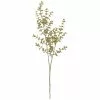 Deals ???? Glittery Gold Eucalyptus Stem by Ashland® ⭐ 1 Deals ???? Glittery Gold Eucalyptus Stem by Ashland® ⭐ -Ashland Sales 10701320 1