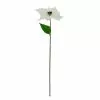 Brand new ⌛ White Poinsettia Stem by Ashland® ???? 1 Brand new ⌛ White Poinsettia Stem by Ashland® ???? -Ashland Sales 10701328 1