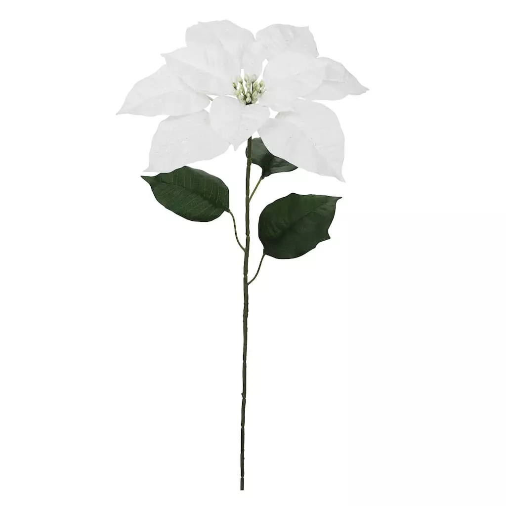 Hot Sale ???? Glittery White Poinsettia Stem by Ashland® ???? 3 Hot Sale ???? Glittery White Poinsettia Stem by Ashland® ????