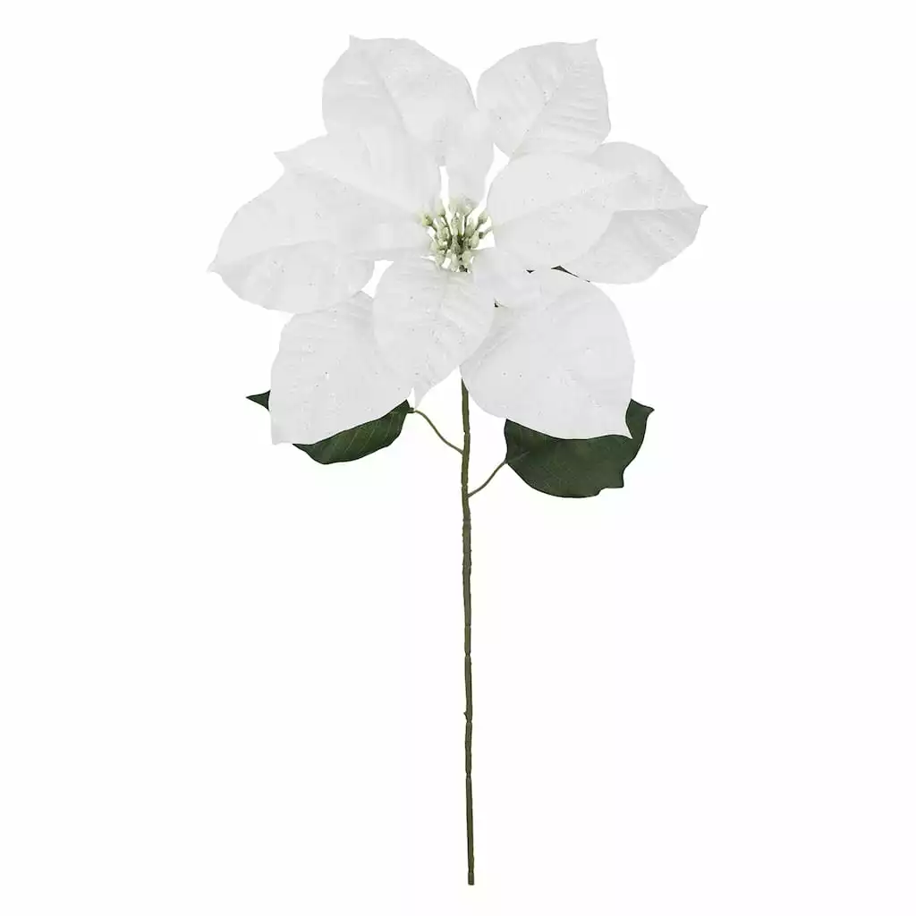 Hot Sale ???? Glittery White Poinsettia Stem by Ashland® ???? 4 Hot Sale ???? Glittery White Poinsettia Stem by Ashland® ???? - Image 2