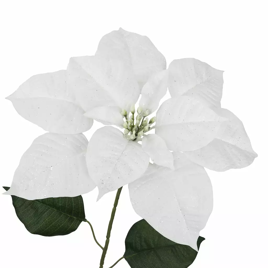 Hot Sale ???? Glittery White Poinsettia Stem by Ashland® ???? 5 Hot Sale ???? Glittery White Poinsettia Stem by Ashland® ???? - Image 3