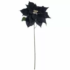 Budget ???? Black Poinsettia Stem by Ashland® ????