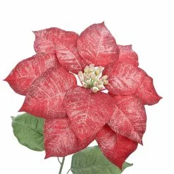 Outlet ✨ Iced Red Poinsettia Stem by Ashland® ⌛ -Ashland Sales 10701342 3