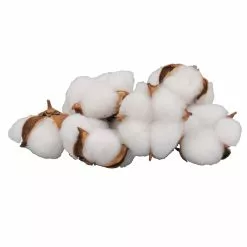 Promo ???? Cotton Pod Filler by Ashland® ????