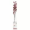 Best reviews of ???? Red Berries Twig With 16 Lights by Ashland® ???? -Ashland Sales 10702492 1