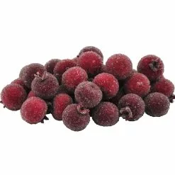 Best deal ???? Red Sugared Berries by Ashland® ❤️