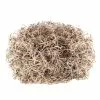 Cheap ???? Natural Spanish Moss by Ashland® ????