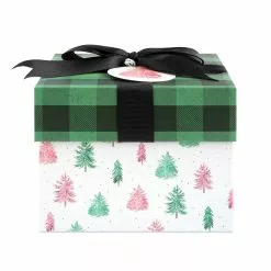 Buy ???? Small Miss Claus Gift Box by Ashland® ???? -Ashland Sales 10703637 2