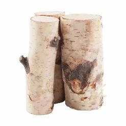 Cheap ???? Assorted Birch Log Bundle by Ashland® ???? -Ashland Sales 10703680 2