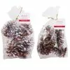 Brand new ???? Assorted Pinecone Mix by Ashland® ⌛ -Ashland Sales 10703682 1